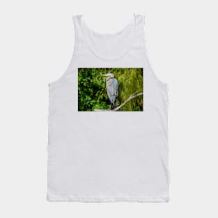 Great Blue Heron in the Trees Tank Top